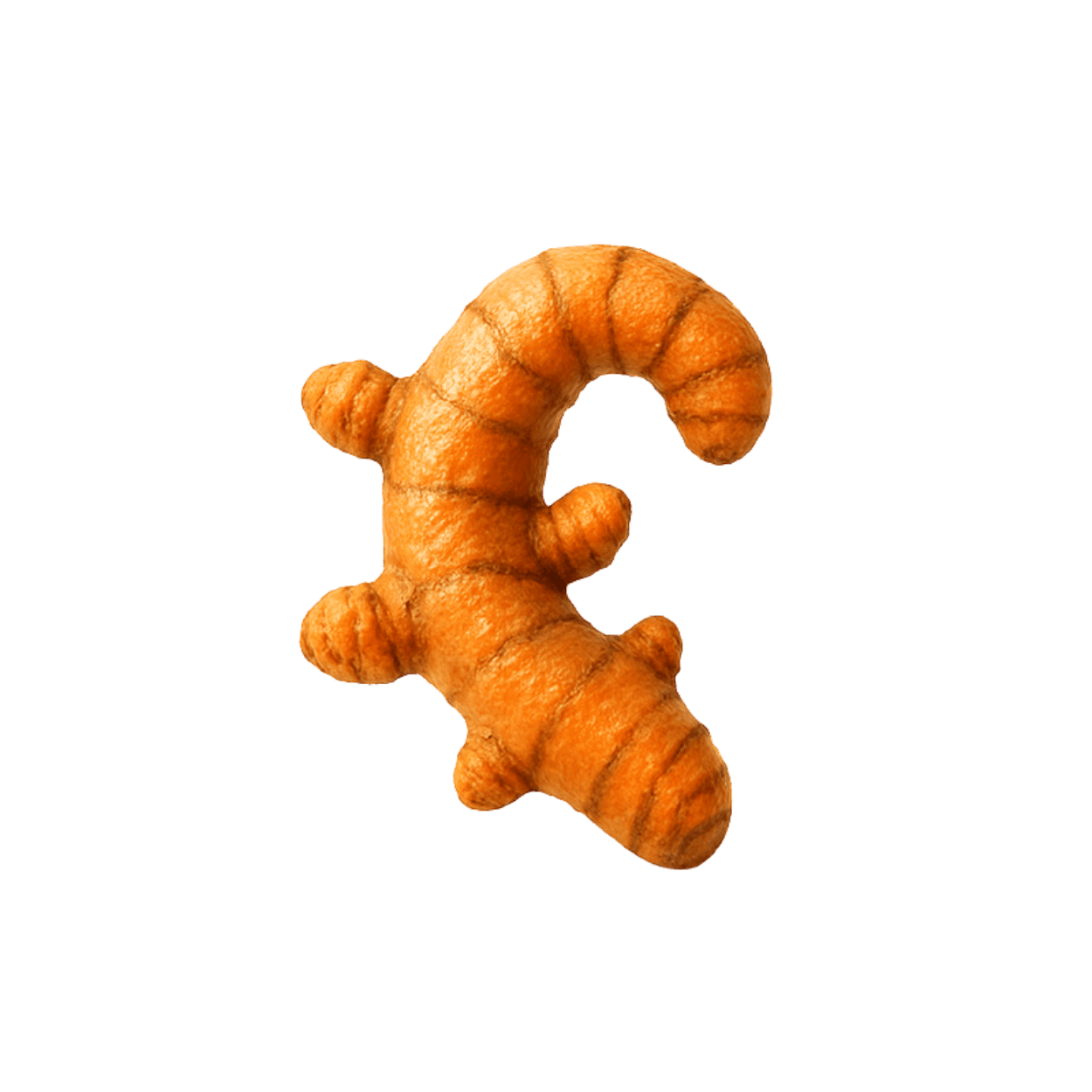 Turmeric root, an anti-inflammatory in the CONKA formula